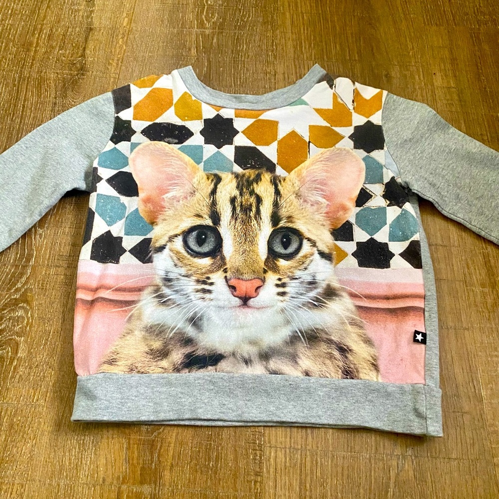 Molo Kids Girls Gray Long Sleeve Crew Neck Kitten Sweatshirt